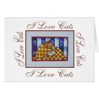 i love cats