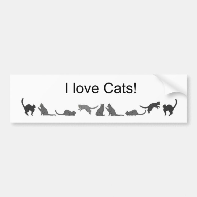 I love Cats bumper sticker (Front)
