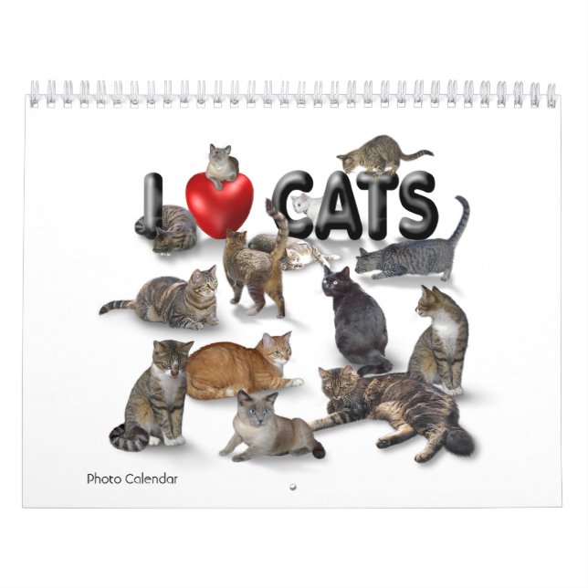 I love Cats 😻 Calendar (Cover)