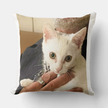 I Love Cats! Cat Throw Pillow