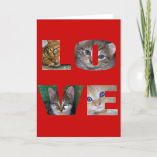 I Love Cats Holiday Card