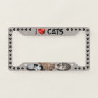 I love Cats