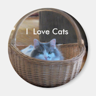 I Love Cats Magnet