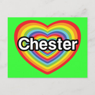 I love Chester: rainbow heart Postcard