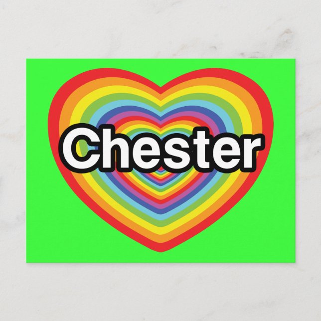 I love Chester: rainbow heart Postcard (Front)