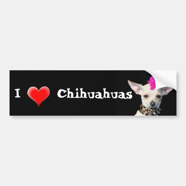 I Love Chihuahuas bumper sticker (Front)