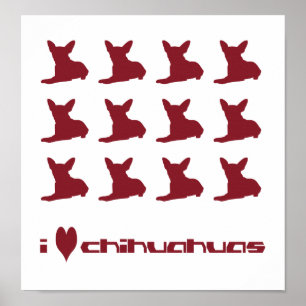 I Love Chihuahuas Poster
