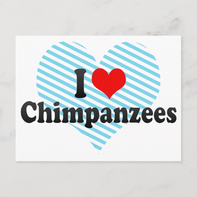 I Love Chimpanzees Postcard (Front)
