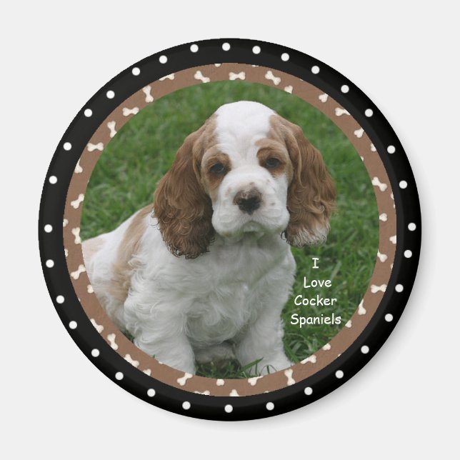 I love Cocker Spaniel Dogs Magnet (Front)