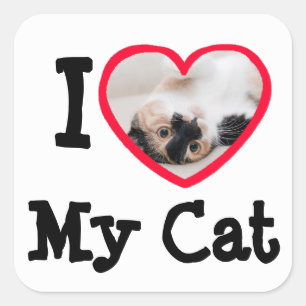 I Love (coeur) My Cat Stickers Photo Personnalisée