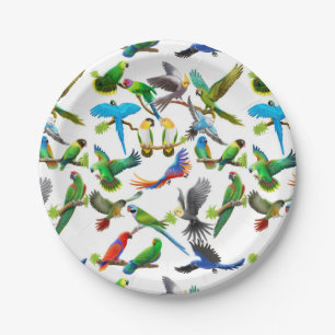 I Love Colourful Parrots Paper Plates