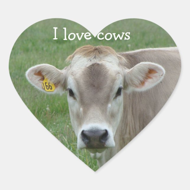I Love Cows Jersey Cow Sticker Coeur (Devant)