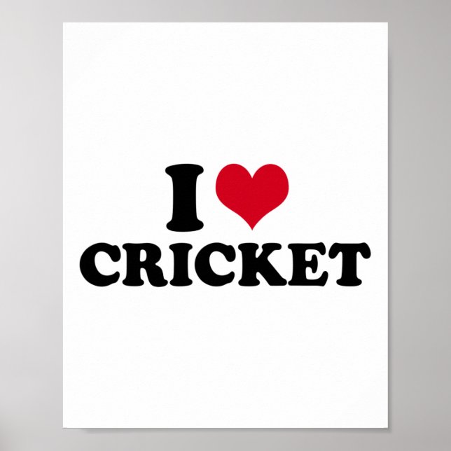 I Love Cricket  Poster (Front)