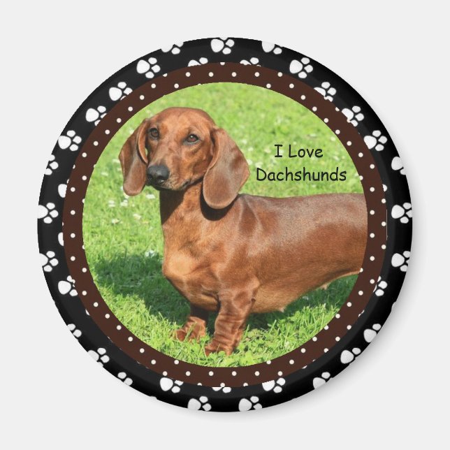 I love Dachshunds 2  Magnet (Front)