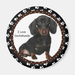 I love Dachshunds  Magnet