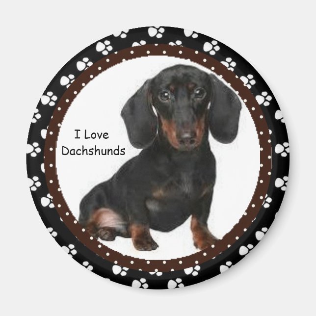 I love Dachshunds  Magnet (Front)