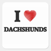I love Dachshunds