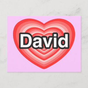 I love David. I love you David. Heart Postcard