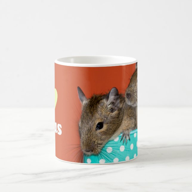 I Love Degus Coffee Mug (Center)