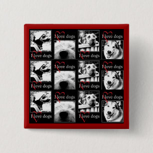 I Love Dogs Button