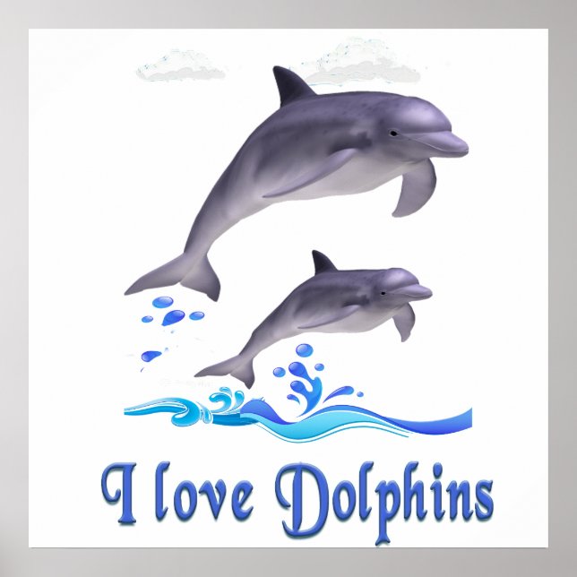 I love Dolphins Poster (Front)