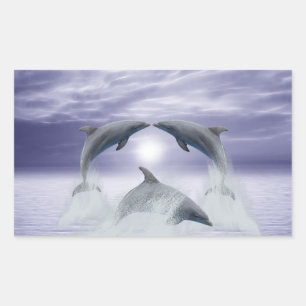 I love dolphins sticker