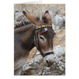 I Love Donkeys!