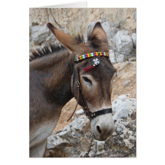 I Love Donkeys! (Front)