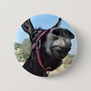 I Love Donkeys! 2 Inch Round Button
