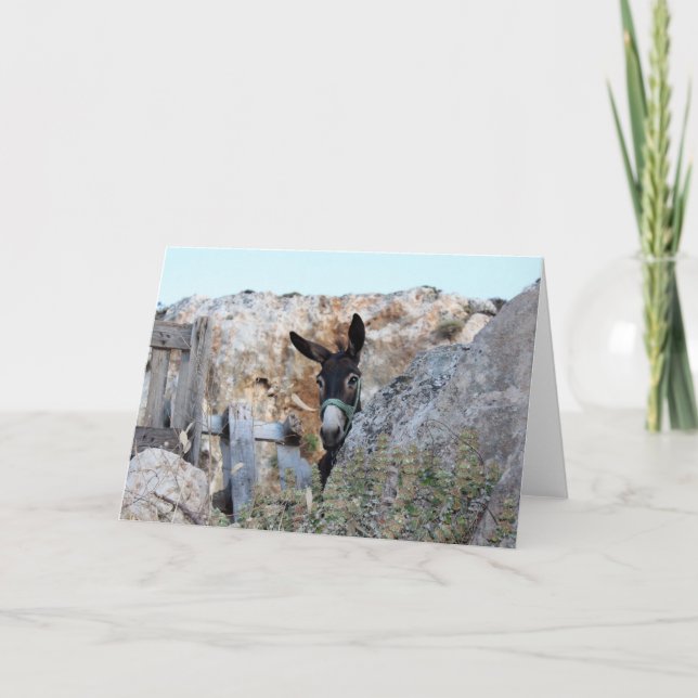 I Love Donkeys! Card (Front)