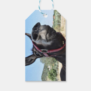 I Love Donkeys! Gift Tags
