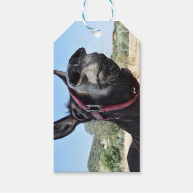 I Love Donkeys! Gift Tags (Front)