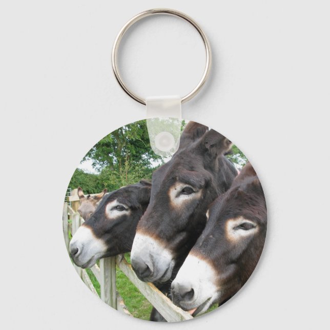 I Love Donkeys! Keychain (Front)