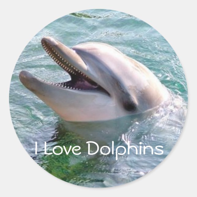 I Love Dophins Sticker (Front)