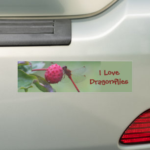 I Love Dragonflies Nature  Bumper Sticker