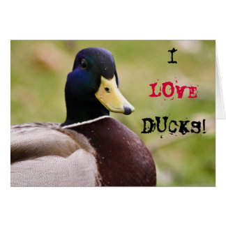I Love Ducks Card