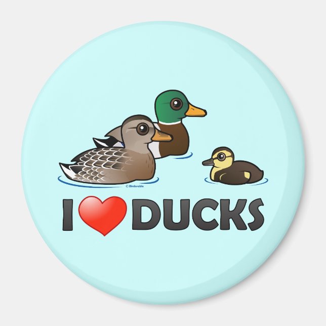 I Love Ducks Magnet (Front)