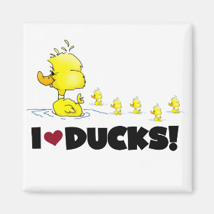 I Love Ducks Tshirts and Gifts Magnet