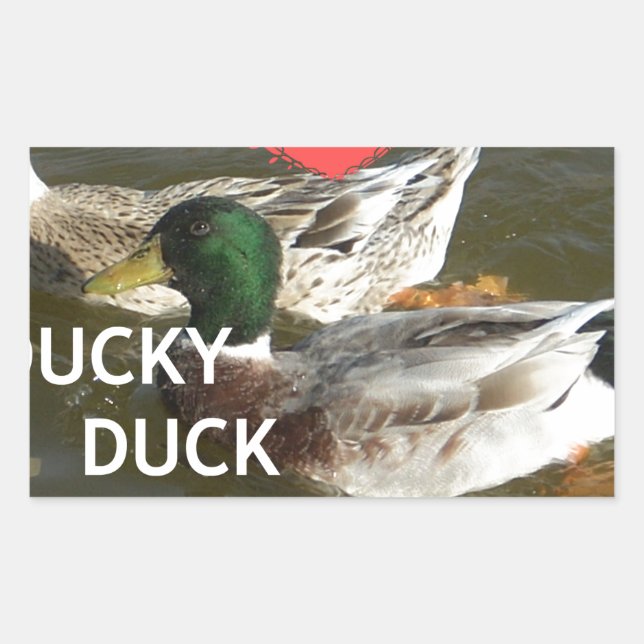 I Love Ducky Duck Mountains Design Sticker (Front)