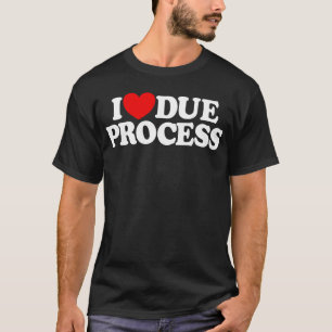 I Love Due Process T-Shirt
