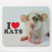 I Love (dumbo) Rats