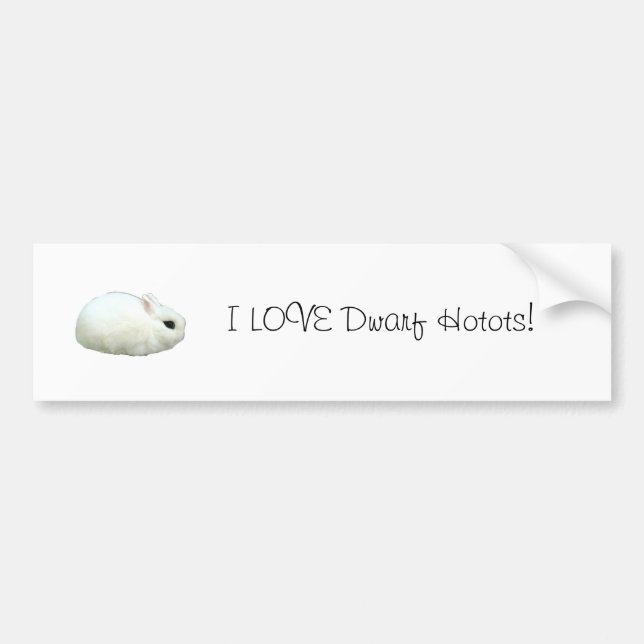 I LOVE Dwarf Hotot's! Bumper Sticker (Front)