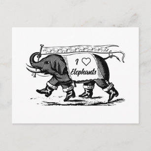 I Love Elephants Postcard