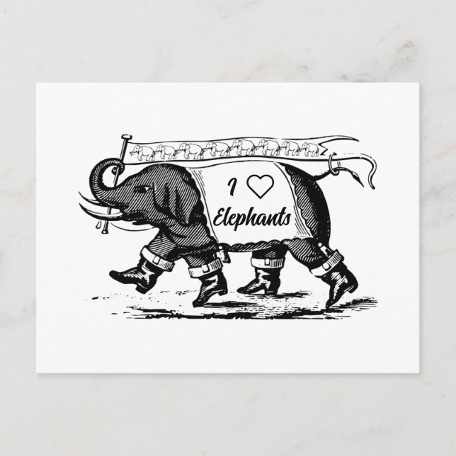 I Love Elephants Postcard (Front)