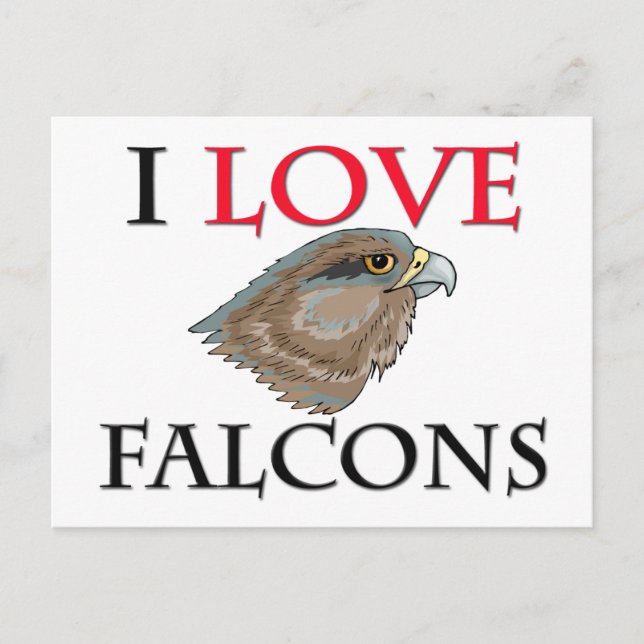 I Love Falcons Postcard (Front)