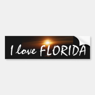 I Love FLORIDA Bumper Sticker
