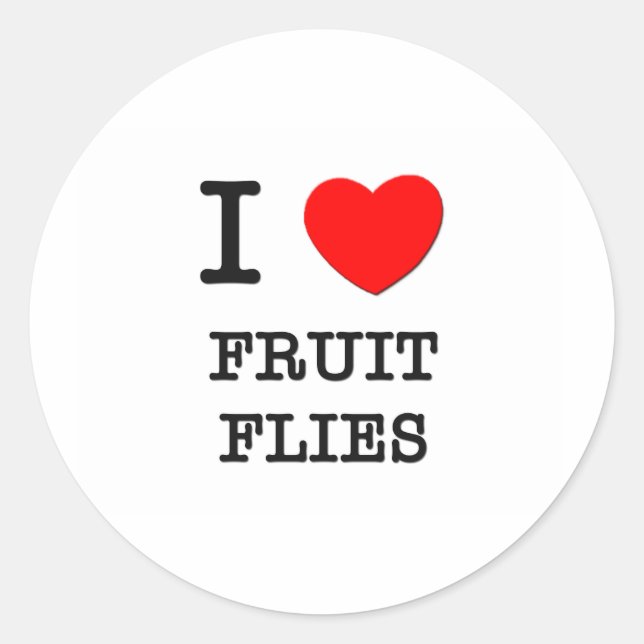 I Love Fruit Flies Classic Round Sticker (Front)