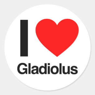 i love gladiolus classic round sticker