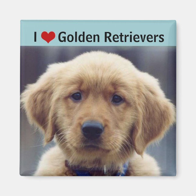 I Love Golden Retrievers Cute Puppy Magnet (Front)