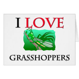 I Love Grasshoppers